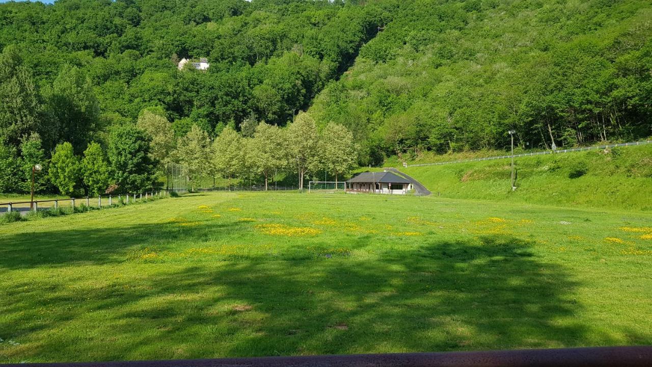 Village 17 Gites, Piscine, Restaurant , 2 Gites Avec Spa, 3Km De Conques Exterior photo